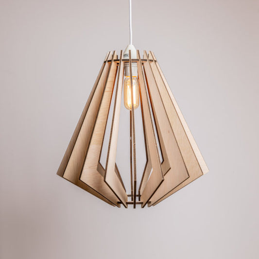 Elegant Chandelier Ceiling Lamp For Home